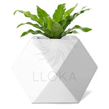 LLOKA Table Top Pots & Planters Combo GeoE_01 (Large in White & Small in Black)