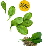 Shiviproducts Spinach (Palak) Seeds