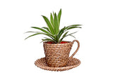 The Weaver's Nest Handmade Natural Cane Planter/Plant Holder (35 X 15 X 42 cm)