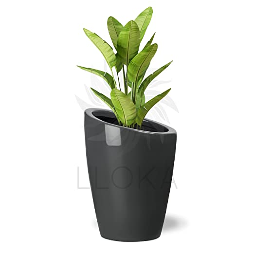 LLOKA Luxurious Floor Planter Marga_CC_01