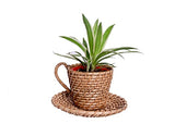 The Weaver's Nest Handmade Natural Cane Planter/Plant Holder (35 X 15 X 42 cm)