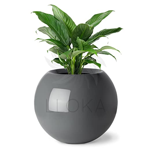 LLOKA Luxurious Fiberglass Table Top Pots & Planters - Prana_Sph_02