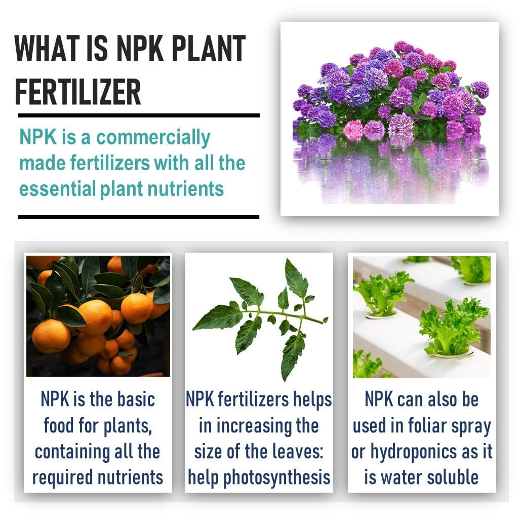 Shiviproducts NPK 19 19 19 Fertilizers For Plants