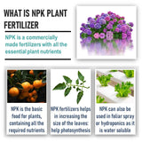 Shiviproducts NPK 19 19 19 Fertilizers For Plants