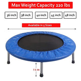 Fitness Guru LP Trampoline (Multicolour)