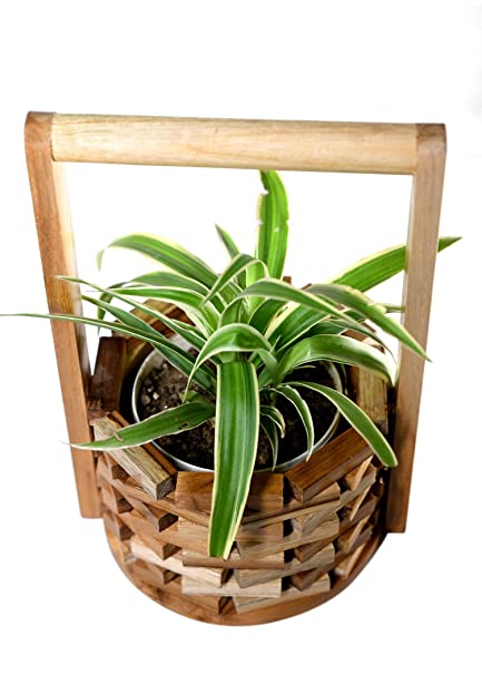 The Weaver's Nest Well Planter Indoor (15X17X25cm)