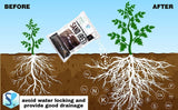 Shiviproducts Sand (Ret)/Potting Mix for Plant Roots