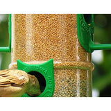 Amijivdaya Bird Food Feeder With Hut (Large) - Pack Of 6