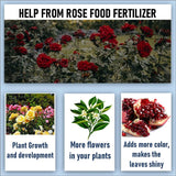 Shiviproducts Organic Essential Rose Food