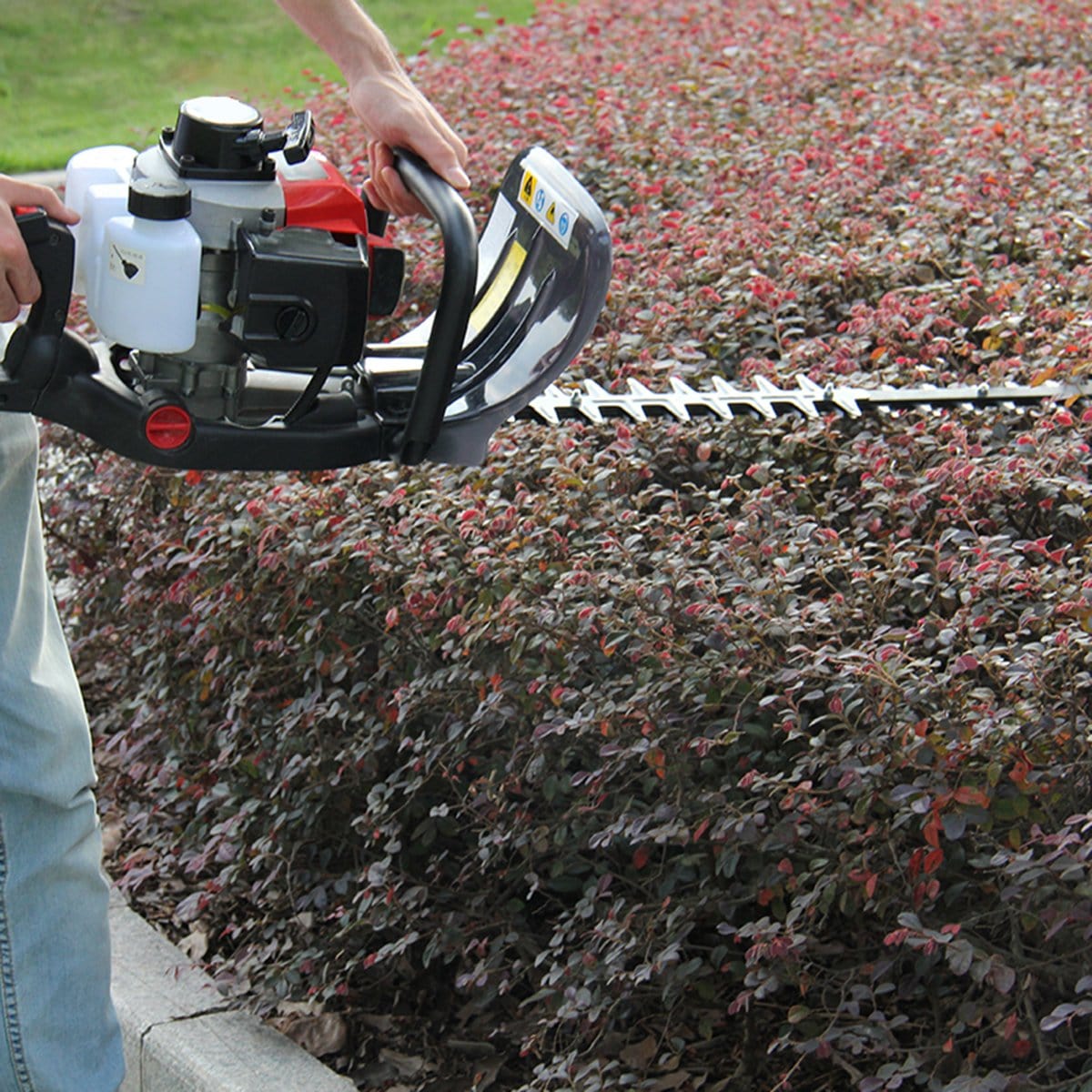 Neptune Simplify Farming Hedge Trimmer