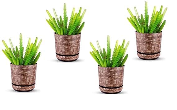 Vgreen Garden Store Self Watering Table Top Planter (Multicolor, Set of 4)