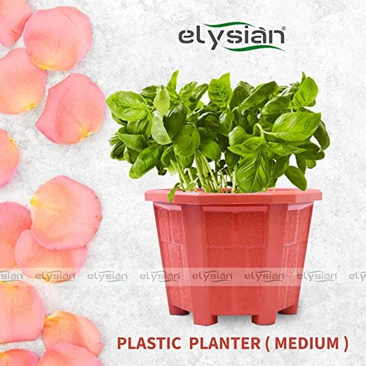 Elysian Heavy Duty Hexagonal Shape Plastic Pot (15 cms), Brown