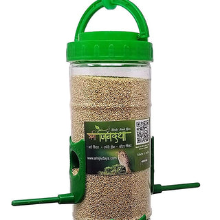 Bird Feeder (Medium)