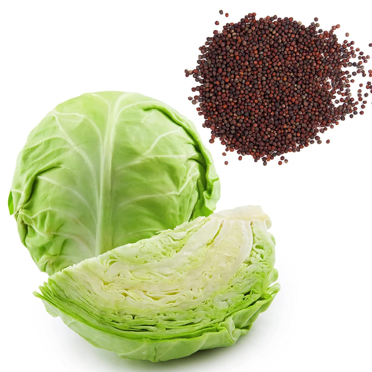 Shiviproducts Cauliflower and Cabbage Seeds