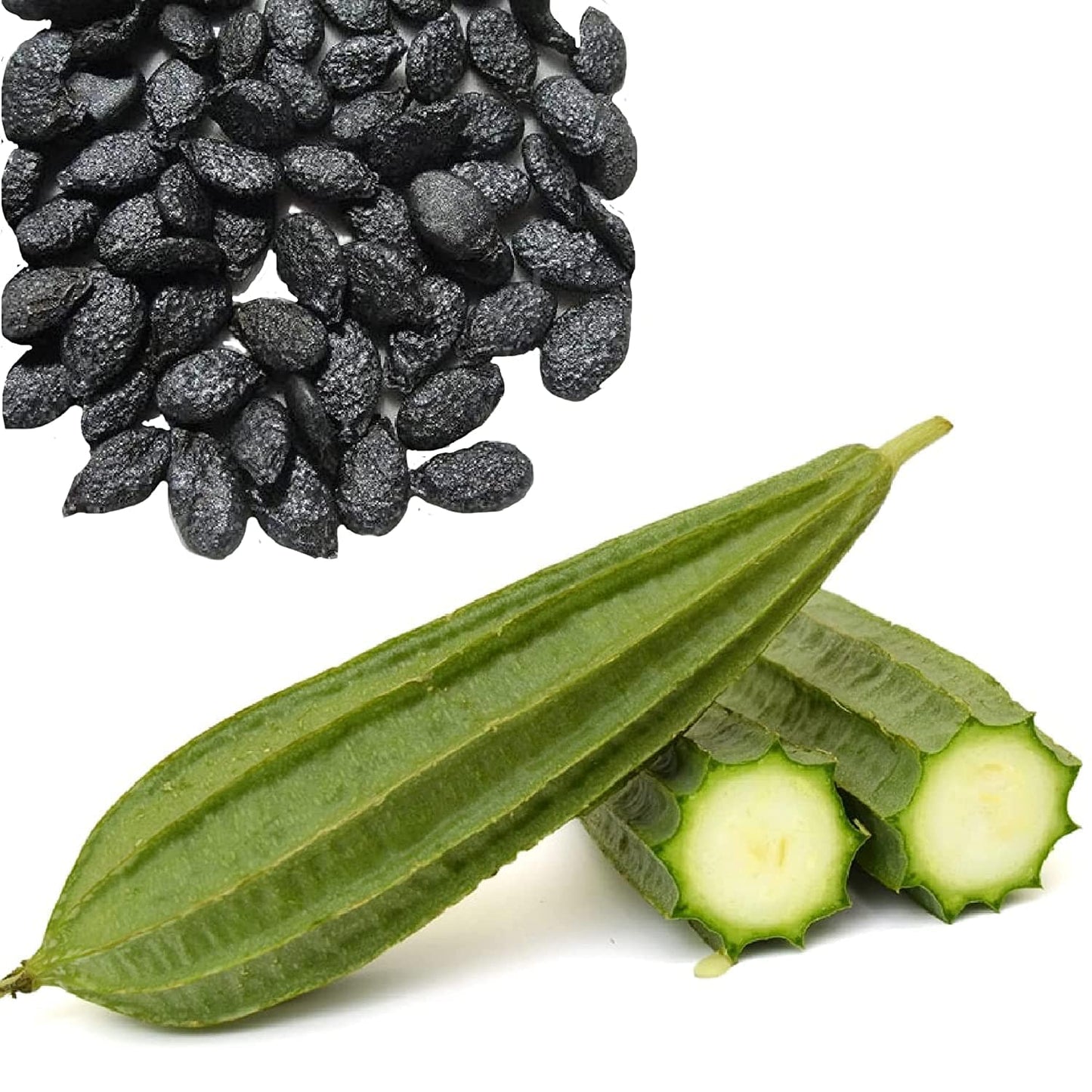 Shiviproducts Ridge Gourd (Torai) and Sponge Gourd (Dodka) Seeds