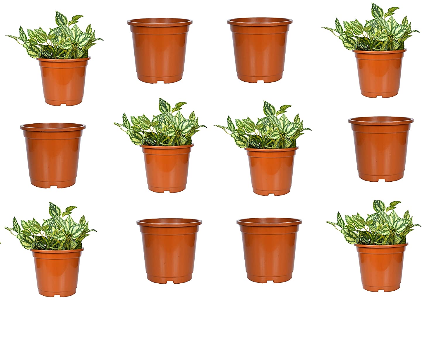 Akura Plastic Planter (Brown, Set Of 12)