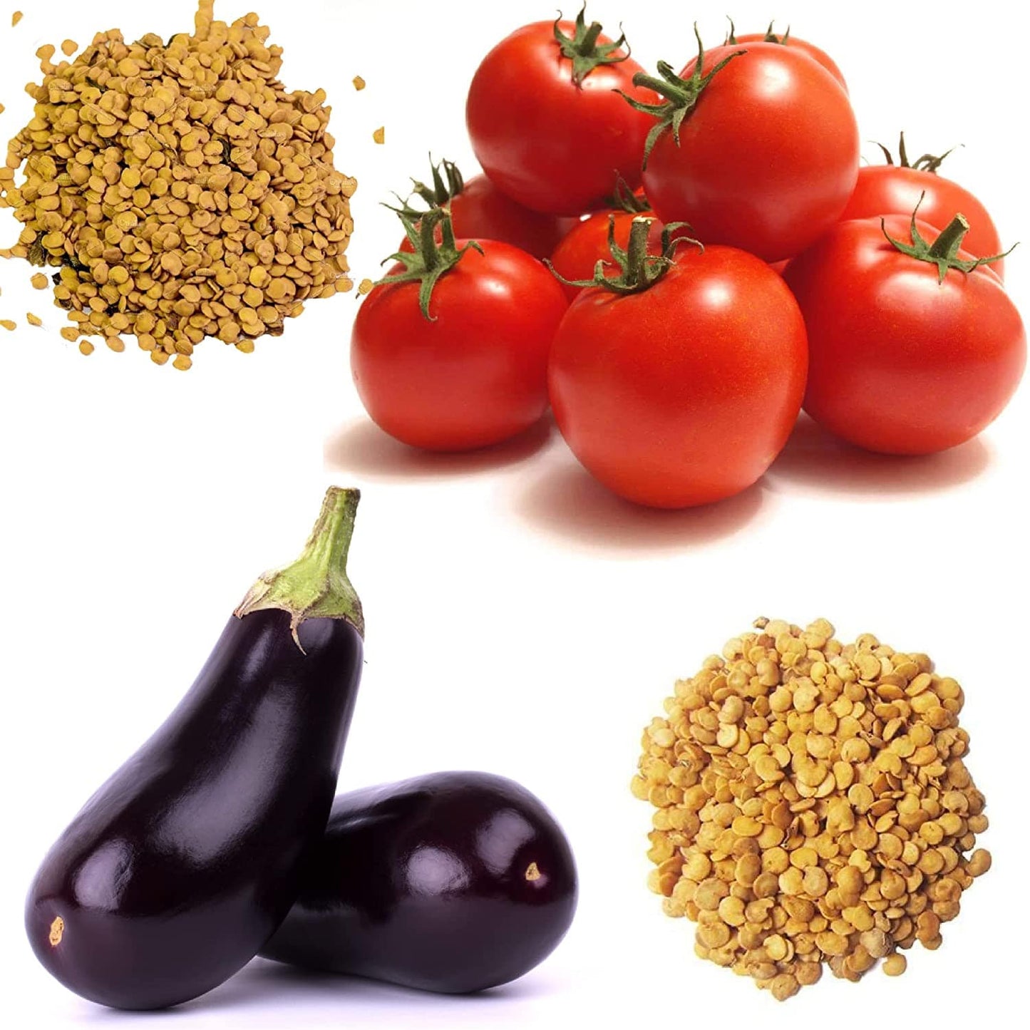 Shiviproducts Tomatoes and Bringal Seeds