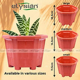 Elysian Hexagonal Plastic Planter with Drainage Hole