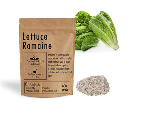 Pindfresh Romaine Lettuce Seeds (800 seeds)