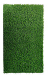 FreshDcart Artificial Grass Mats (3 x 2 Feet)