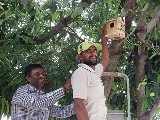 Amijivdaya Window Bird Feeder (Yellow)