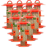 Skybeings Bird Feeder With Hut (Large, Orange)