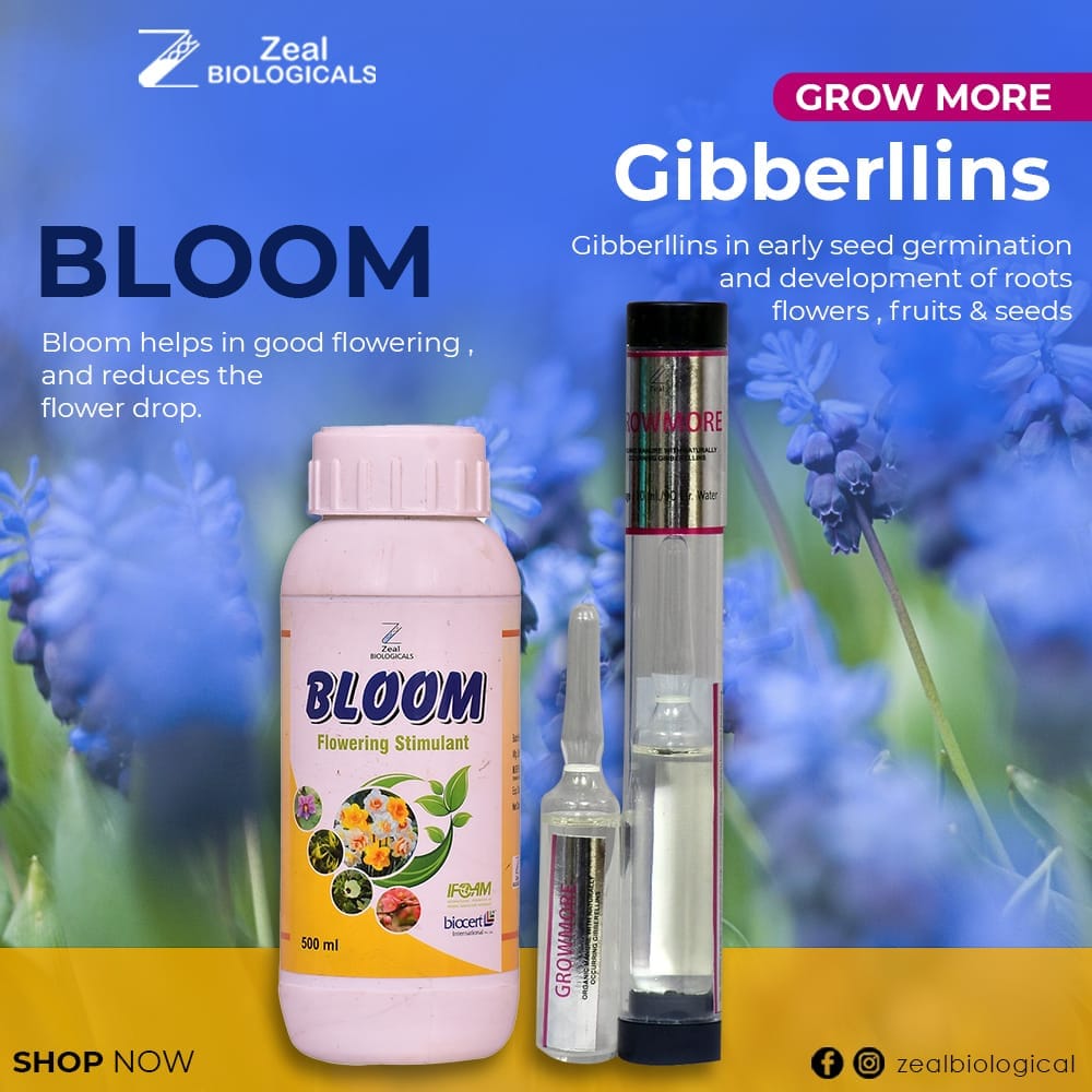 Bloom Flowering Stimulant