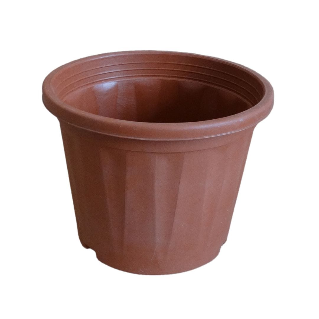 HARSHDEEP Plastic Grower Pot, Dia-8 Inch