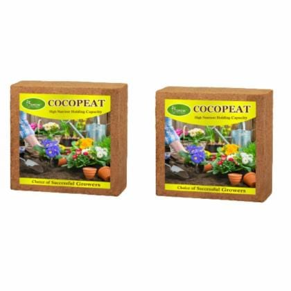 Coir Block/ Coco Peat For Hydroponics