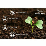 Coir Block/ Coco Peat For Hydroponics