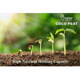 Coir Block/ Coco Peat For Hydroponics