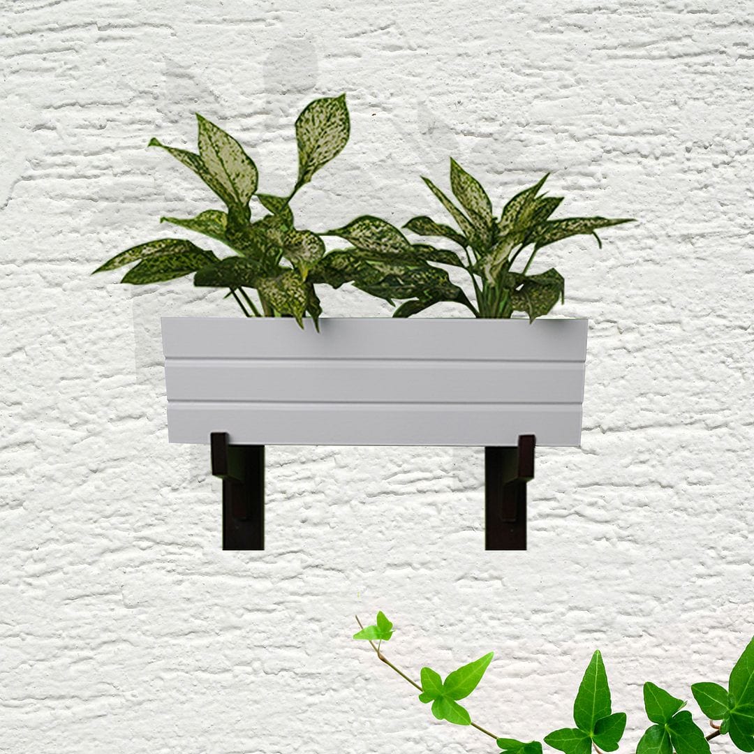 GreenUp Wall Mounted Wooden Boat Planter (Rectangle Shaped)