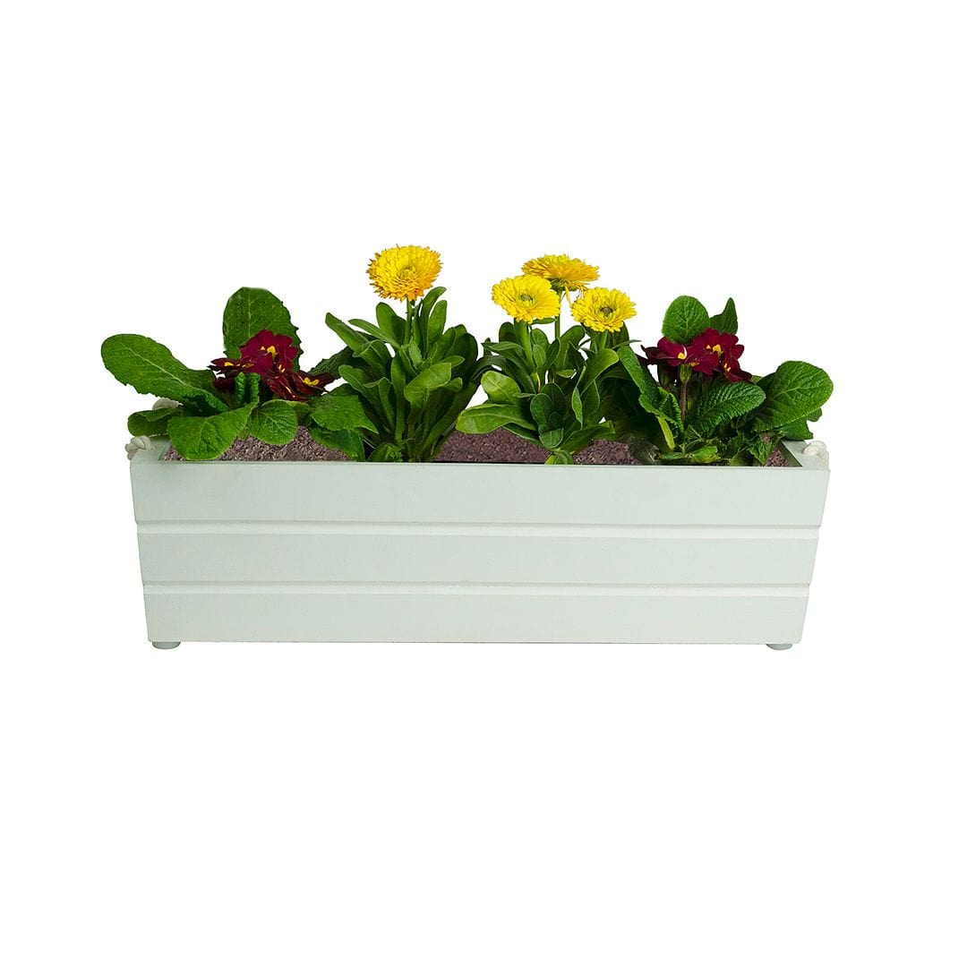 GreenUp Wooden Boat Planter (Rectangle Shaped)