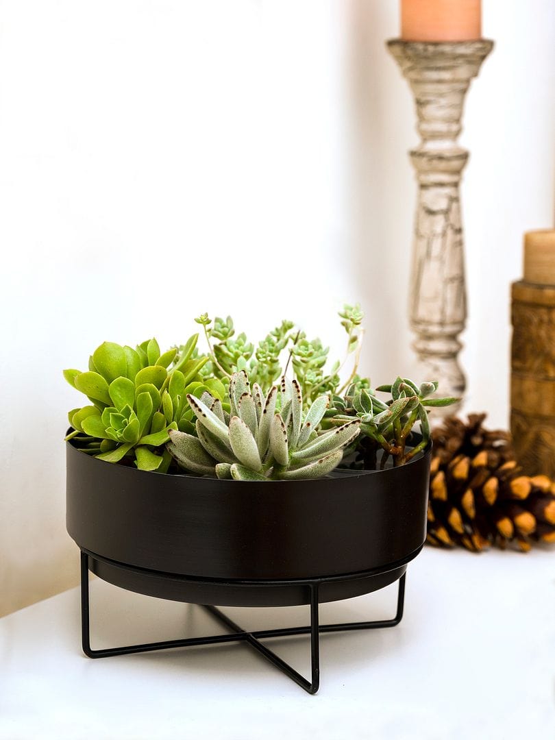 Green Girgit Metal Planter With Black Metal Stand