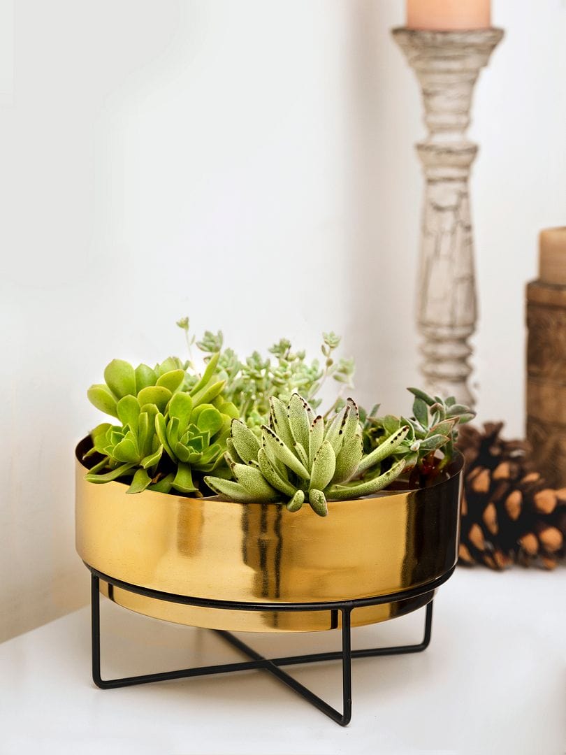 Green Girgit Metal Planter With Black Metal Stand