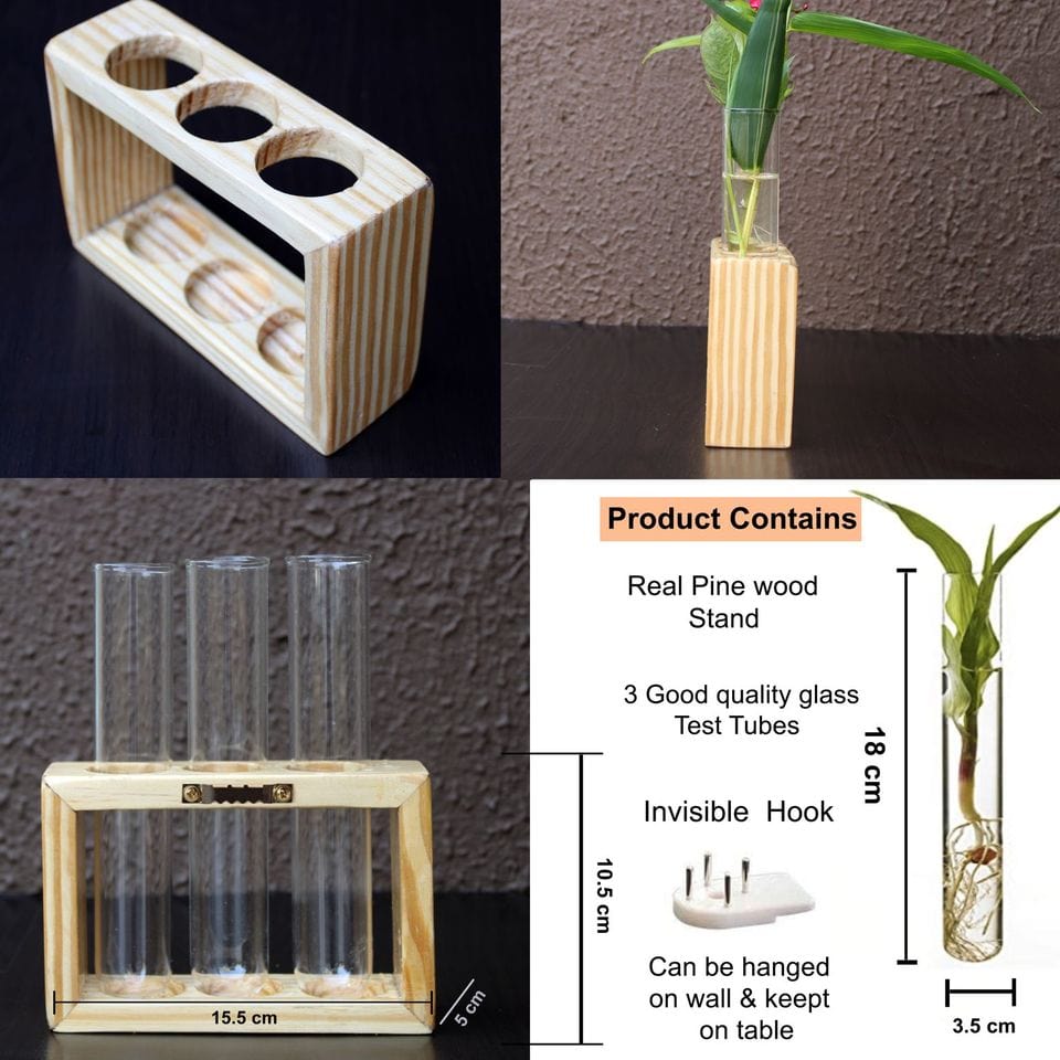 Glass Test Tube Flower Vase with Wood Stand