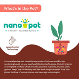 Nanopot Humic Acid & Seaweed Extract Root Food (10 x 250 gms), Smart Soil Fertilizer