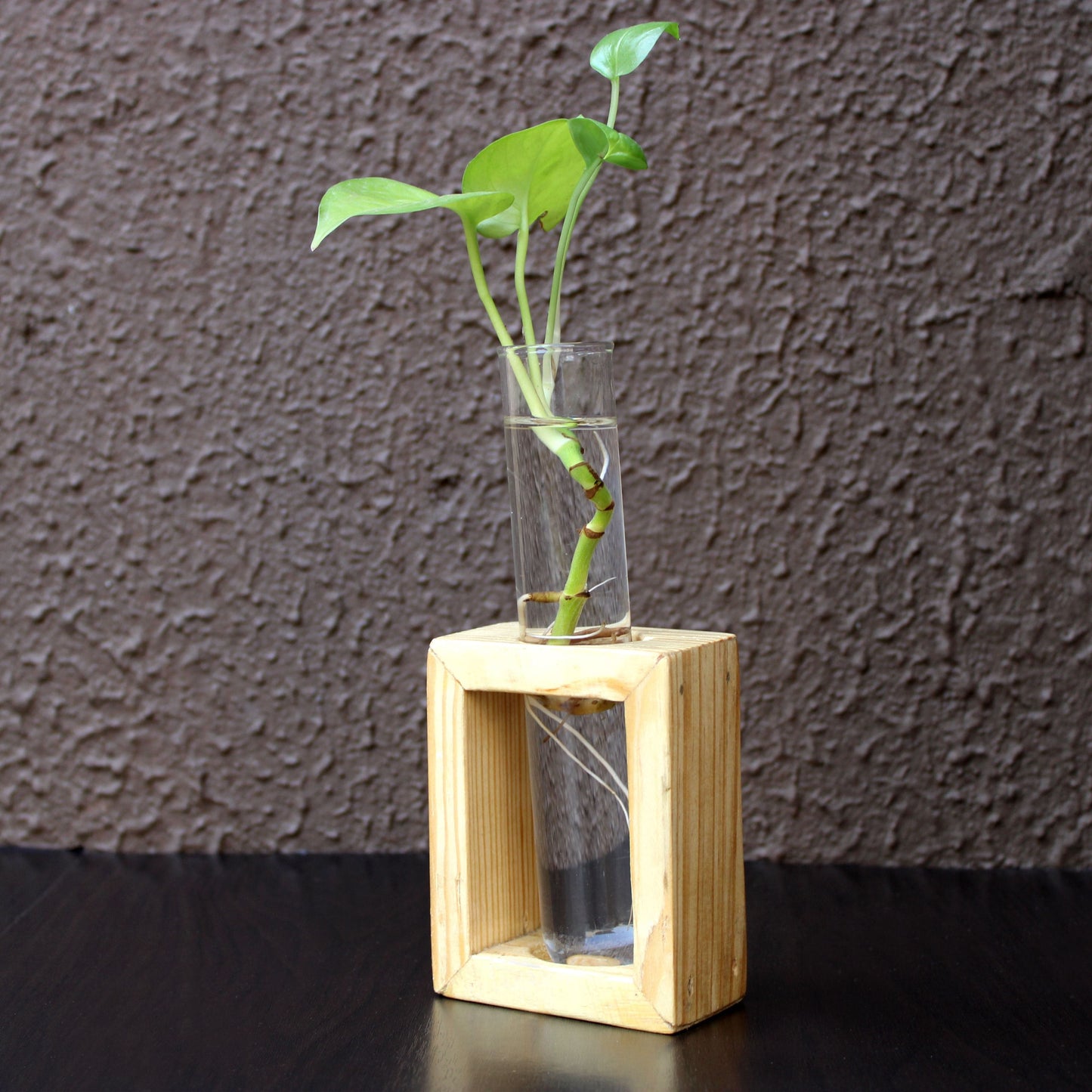 Glass Test Tube Flower Vase with Wood Stand