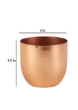 Amaya Decors Table Top Planter with Copper Plating (Set of 2)