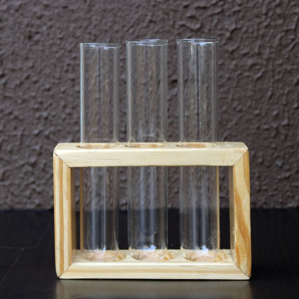 Glass Test Tube Flower Vase with Wood Stand