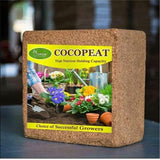 Coir Block/ Coco Peat For Hydroponics