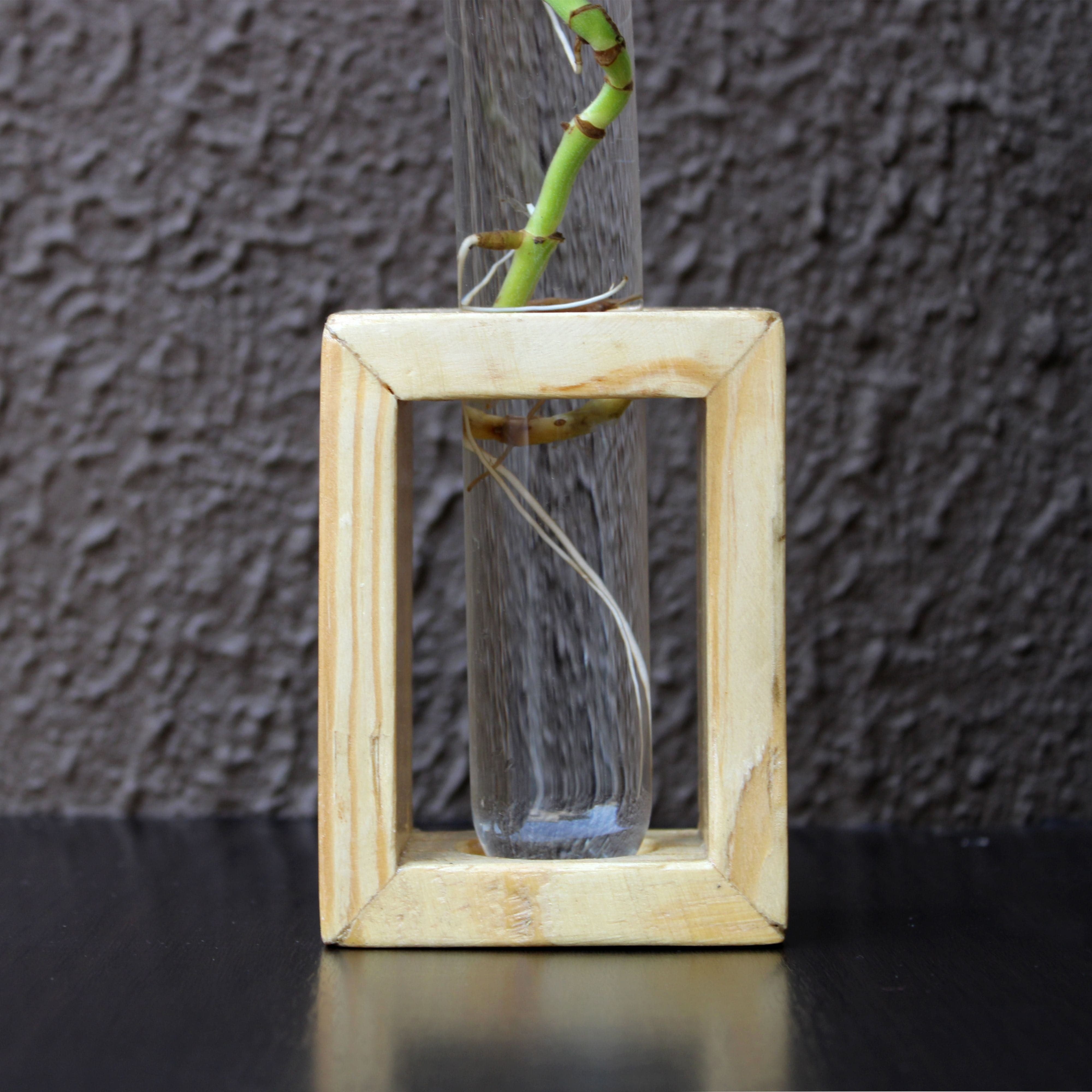 Glass Test Tube Flower Vase with Wood Stand