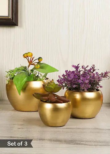 Amaya Decors Apple Planters (Set of 3)