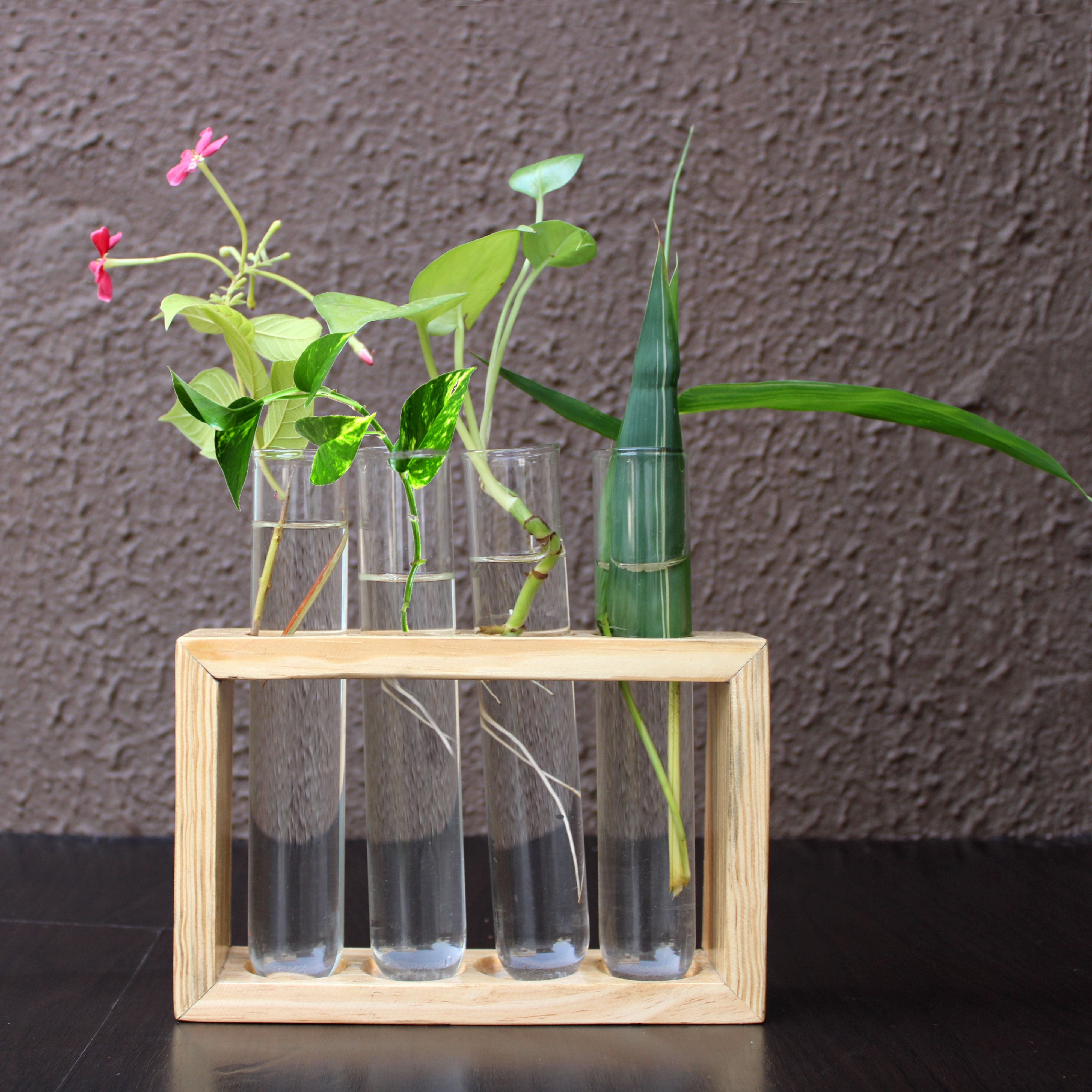 Glass Test Tube Flower Vase with Wood Stand