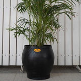 Planter Without Tray (Made of Rubber)