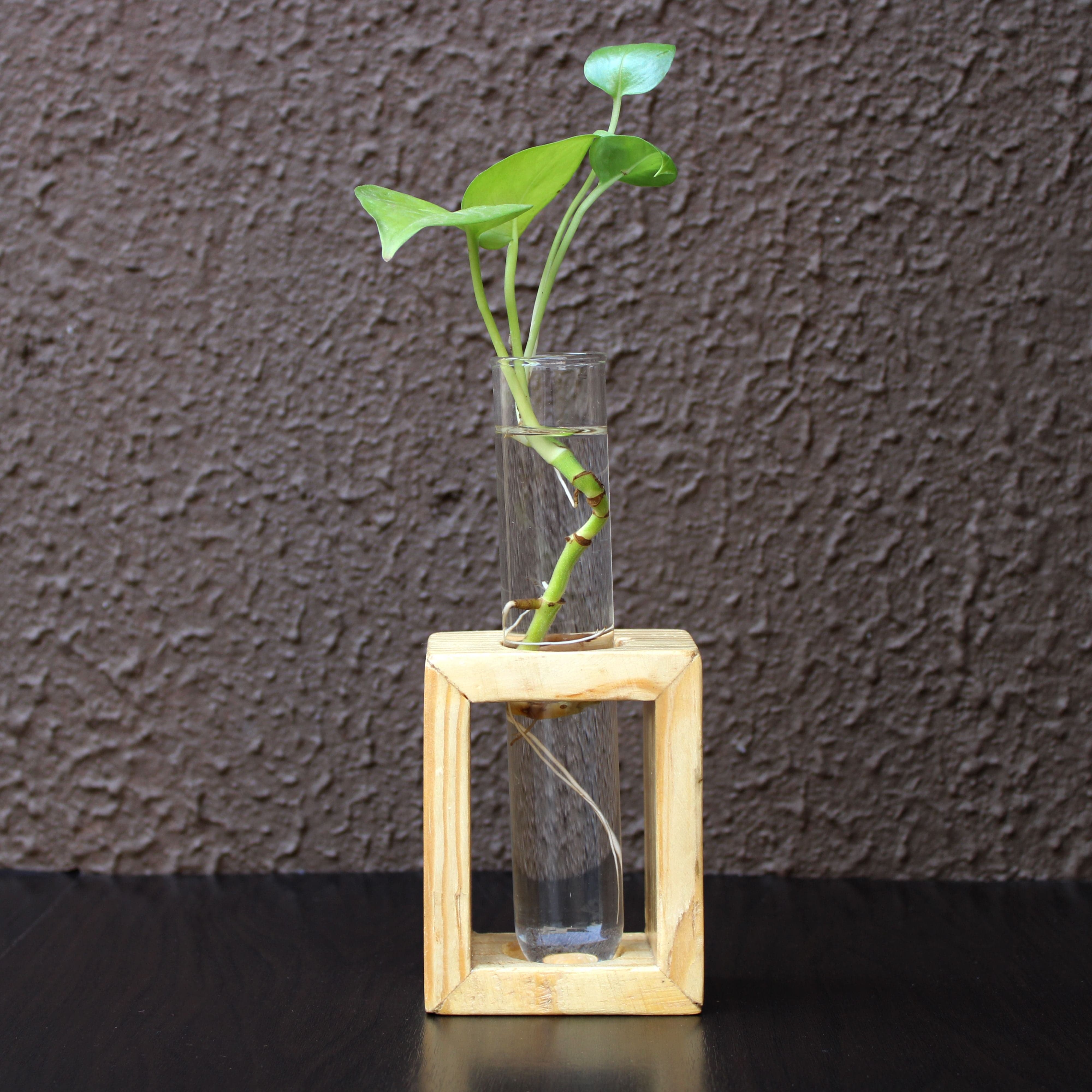 Glass Test Tube Flower Vase with Wood Stand