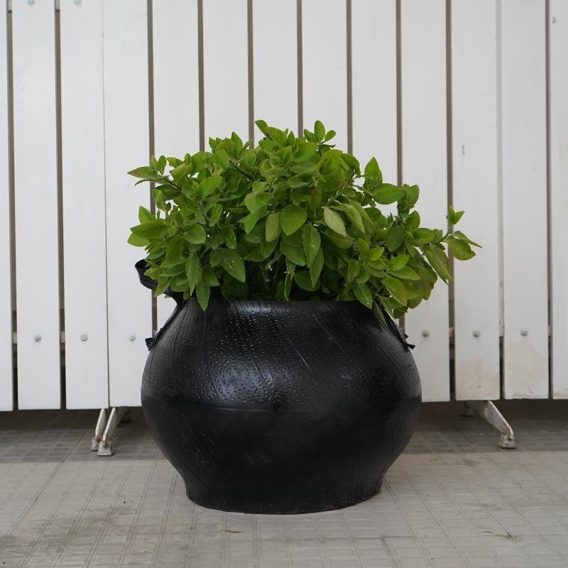 De'Dzines Matka Style Planter