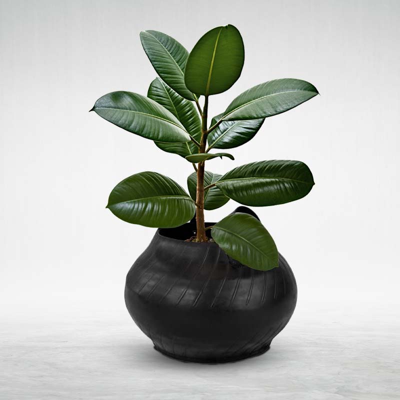 De'Dzines Matka Style Planter