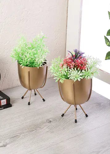 Amaya Décors Table Top Planter