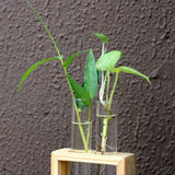 Glass Test Tube Flower Vase with Wood Stand